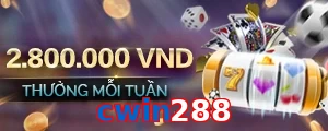 cwin288