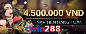 cwin288