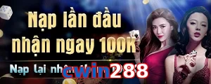 cwin288