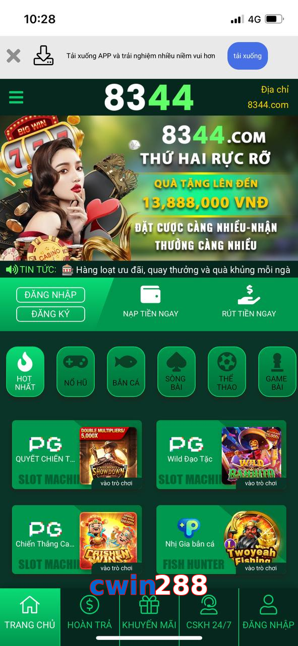 cwin288