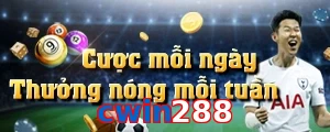 cwin288